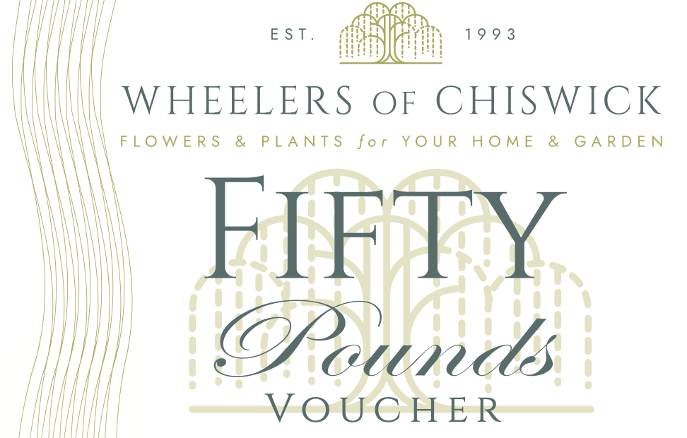£50 Gift Voucher