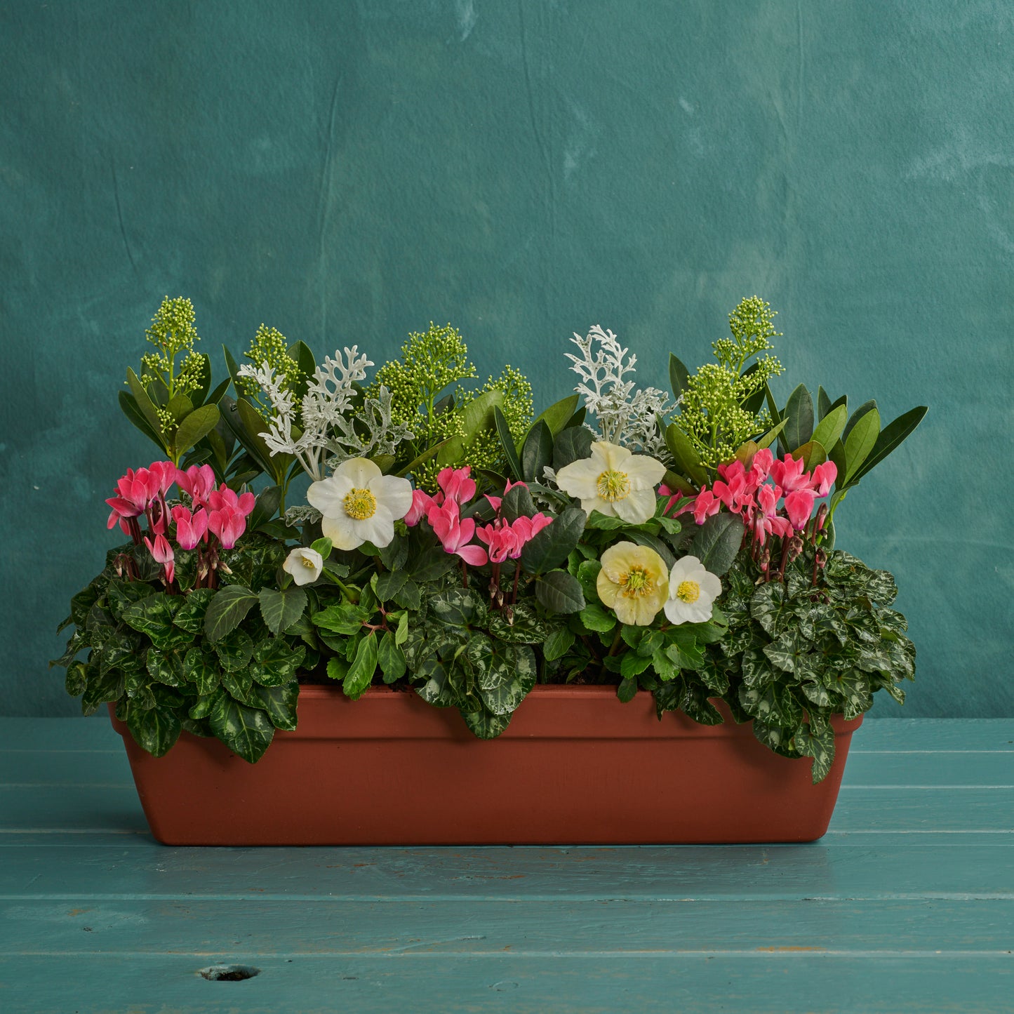 Window Box - Winter Pink