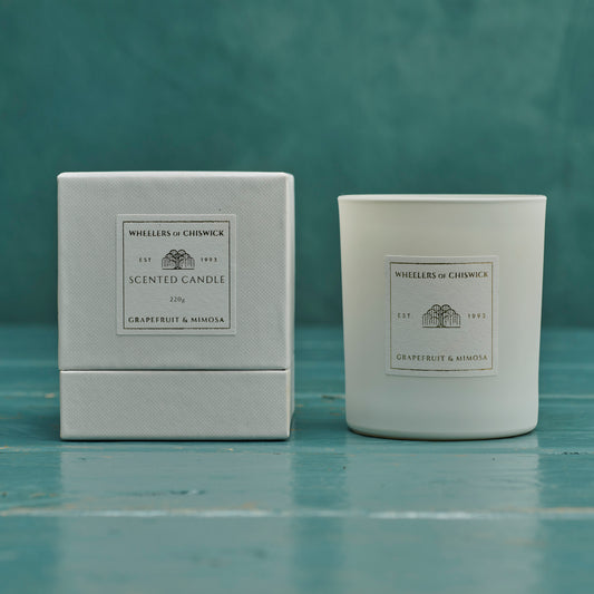 Grapefruit & Mimosa Scented Candle