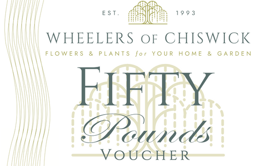 £50 Gift Voucher